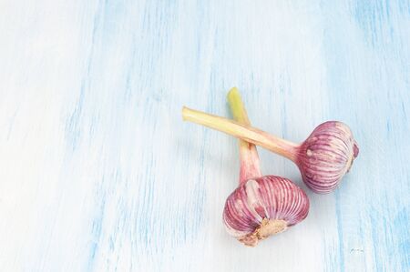 close up of fresh Purple Garlic bulbsの写真素材