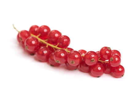 Red Currant isolated on a white background