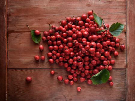 Rose hip. Briar on rustic wooden background