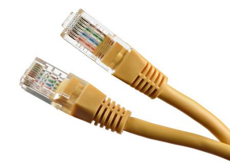 network cable isolated on white background. Macro