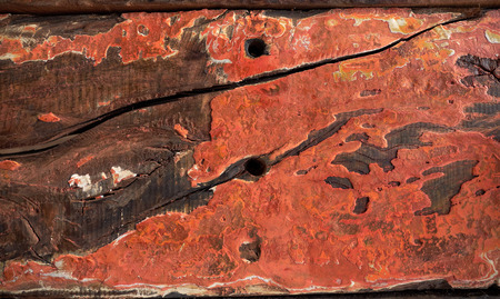 grunge wood background. Wooden texture