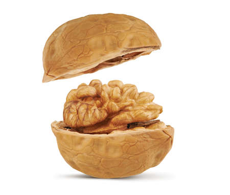 opened Walnut isolated on white background