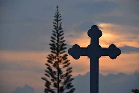 cross and pine silhouette