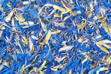 Dried cornflower blossoms macro background pattern textureの写真素材