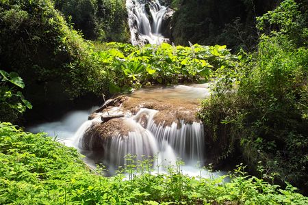 Small waterfall in the mountain stream
