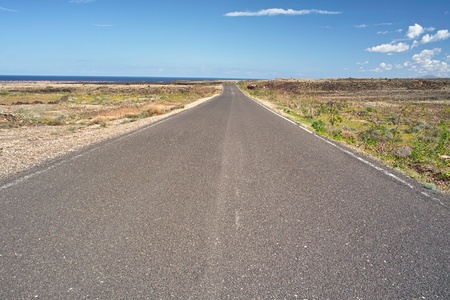 Asphalt road through the wilderness to oceanの写真素材
