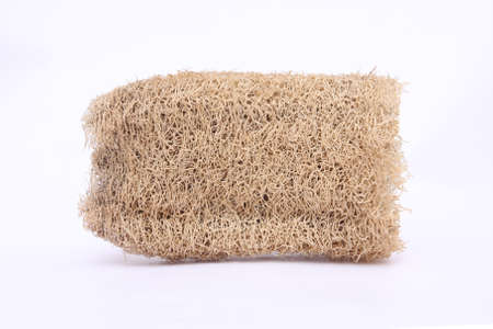 Brown dry Luffa on white backgroundの写真素材