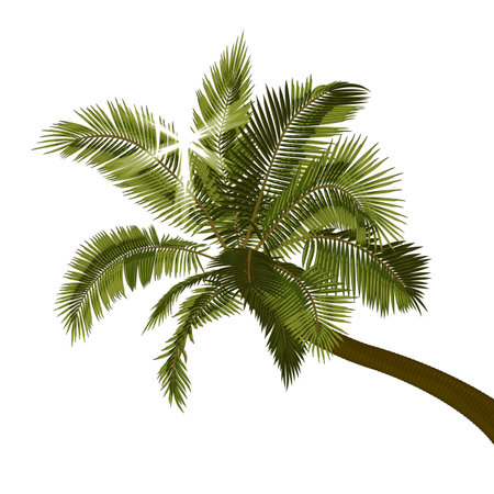 Bent coconut palm with sunbeams through foliage. Vector illustration of leaning palm tree with bright sun breaking through leaves. Image of tropical palm tree trunk, foliageのイラスト素材