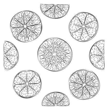 Line art illustration of fresh lime slices. Vector illustration of fresh citrus cuts of nine lime pieces. Image of summer fruit salad of lime slices in vector. Illustrations of ciのイラスト素材