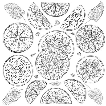 Line art illustration of lemon and lime wedges with mint leaves. Vector illustration of fresh citrus cuts of lemon and lime pieces flavored with mint leaves. Lemon and lime slicesのイラスト素材