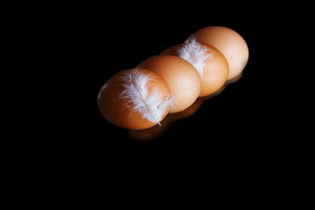 eggs and featherの写真素材