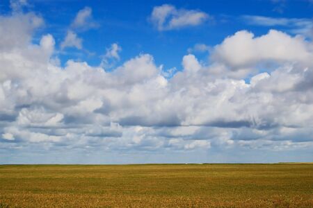 cloudy blue skies over grass field