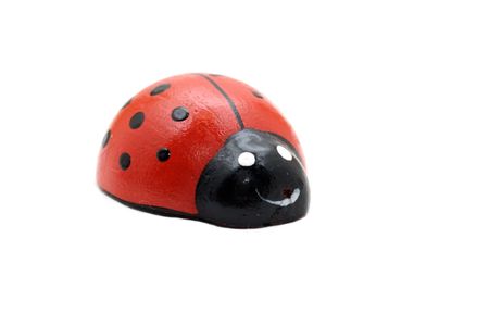 toy ladybird isolated on whiteの写真素材