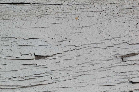 weathered white painted  plank backgroundの写真素材
