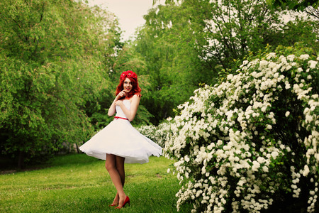 Beautiful girl (25 years old) in white wedding dress on a background of spirea bushes with lots of small white flowersの写真素材