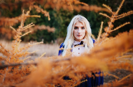 A woman dressed in a blue vintage dress stays in the autumn park behind larch branches.の写真素材
