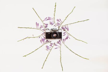 Creative arrangement of purple hosta flowers with vintage retro photo camera on white background....