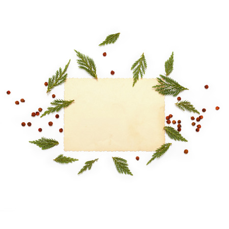 Green plants of juniper evergreen and red berries arranged around vintage card on white background. Flat lay, top view. Christmas concept.の写真素材
