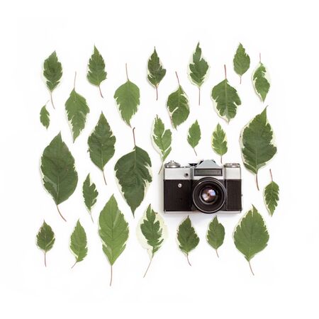 Vintage retro photo camera and green leaves pattern on white background. Flat lay, top view. Creative arrangement of white dogwood leaves (cornus alba).の写真素材