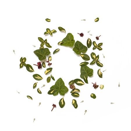 Floral nature round frame on white background. Flat lay, top view. Ornament with yellow-green leaves of euonymus and ivy and succulent plants.の写真素材