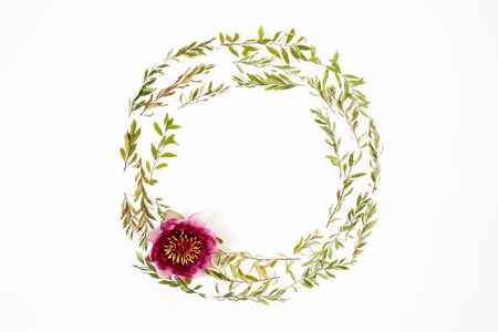 Floral round frame on white background. Flat lay, top view. Ornament with gray grefsheim (spiraea cinerea) leaves and nymphaea waterlily purple flower with space for text.の写真素材