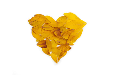 Yellow leaves arranged in heart shape on white background. Flat lay, top view. Autumn composition of Platycodon grandiflorusの写真素材