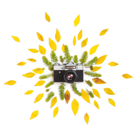 Creative arrangement of green succulents and yellow autumn leaves with vintage retro photo camera on white background. Flat lay, top view.の写真素材