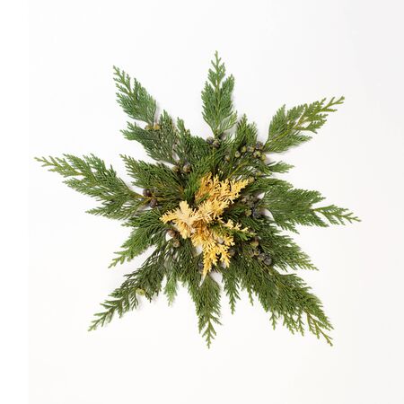 Evergreen leaves arranged in star shape isolated on white background. Flat lay, top view. Christmas related compositionの写真素材