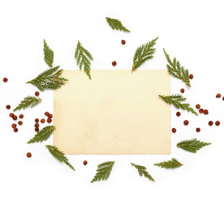 Green plants of juniper evergreen and red berries arranged around vintage card on white background. Flat lay, top view. Christmas concept.の写真素材