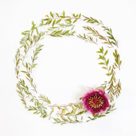 Floral round frame on white background. Flat lay, top view. Ornament with gray grefsheim (spiraea cinerea) leaves and nymphaea waterlily purple flower with space for text.の写真素材