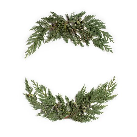 Christmas concept - frame wreath with evergreen Cupressus nootkatensis leaves. Flat lay, top view.の写真素材