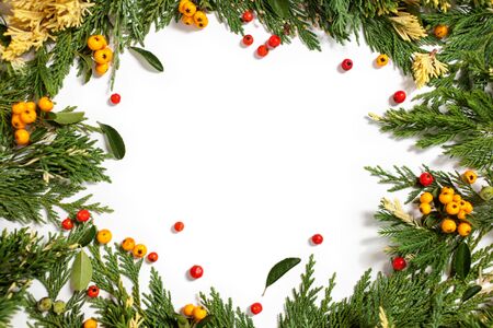 Christmas background border with evergreen fir tree and red and yellow berries isolated on white.の写真素材