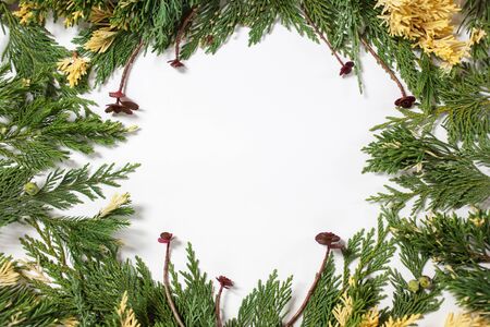 Christmas background border with evergreen fir tree and purple succulents isolated on white.の写真素材