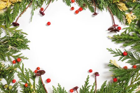 Evergreen fir tree decoration for christmas card isolated, new year pattern, copyspace white. Arrangement with succulents and red berries.の写真素材
