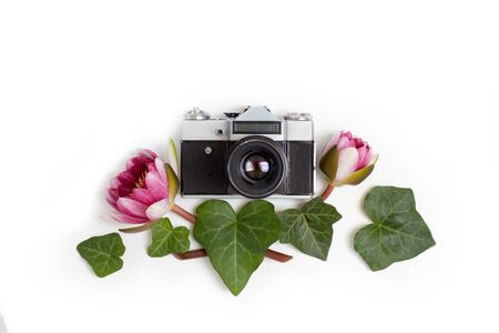 Vintage retro photo camera, dogwood green leaves (cornus alba) and nymphaea waterlily purple flowers on white background. flat lay, top view.の写真素材