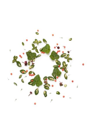 Floral nature round frame on white background. Flat lay, top view. Isolated ornament with red berries, yellow-green leaves of euonymus and ivy and succulent plants.の写真素材