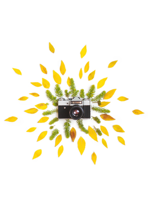 Creative arrangement of green succulents and yellow autumn leaves with vintage retro photo camera on white background. Flat lay, top view.の写真素材