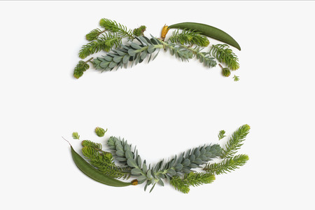 Beauty minimalistic frame wreath with green and blue succulent plants. Flat lay, top view.の写真素材