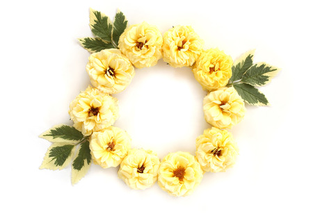Round frame with yellow roses and green leaves isolated on white background. Flat lay, top viewの写真素材