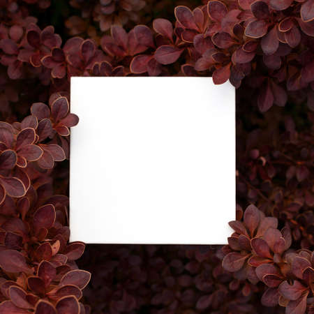 Mock up with floral frame. Background made from red branches and tiny leaves.の写真素材
