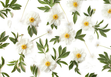 Floral pattern made of white peony flowers, green leaves and pasque-flower seeds on white background. Top view, flat lay.の写真素材