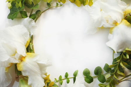 Frame with Iris white flowers, buds, green ivy branches and yellow leaves isolated on white background. Top view. Flat lay.の写真素材