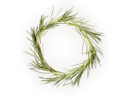 Flowers composition. Wreath made of needle-shaped leaves on white background. Flat lay, top view.の写真素材