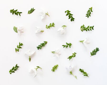 Floral pattern made of white flowers, green leaves, branches on white background. Flat lay, top view. Valentine's background. の写真素材