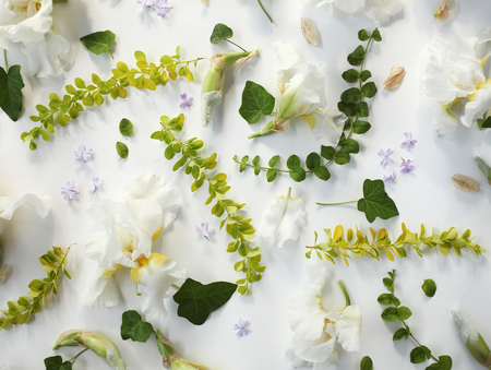 Valentine`s day floral pattern of white Iris, buds, small purple flowers, green leaves and yellow branches on white background. Flat lay, top view. の写真素材