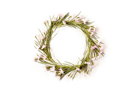 Flat lay flowers composition. Wreath made of carnation flowers and needle-shaped leaves on white background. Top view.の写真素材