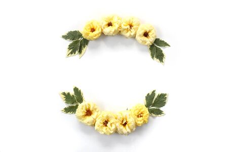Round frame with yellow roses, petals and green leaves isolated on white background. Flat lay, top viewの写真素材