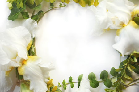Frame with Iris white flowers, buds, green ivy branches and yellow leaves isolated on white background. Top view. Flat lay.の写真素材