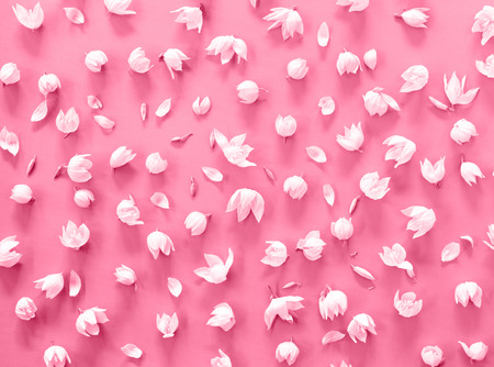 Creative arrangement of white flowers on bright pink background. Flat lay, top view. Floral patternの写真素材