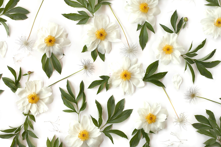 Creative arrangement flat lay floral pattern made of white peony flowers, green leaves and pasque-flower seeds on white background. Top view.の写真素材